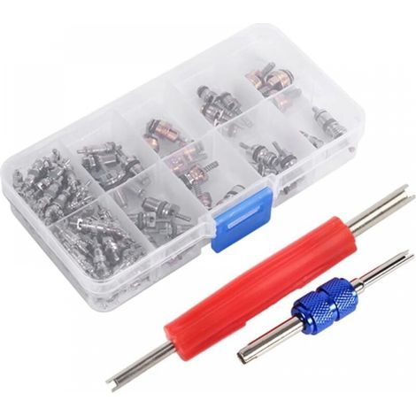 Noyaux de Valve de Réfrigération A/C R134a/R12, Assortiment de 102 Pièces de Noyaux de Tige de Valve avec Outil de Démontage (1/4)