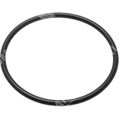 O-Ring für ELPUMPS COMPATIBLE Elektropumpen – 047192