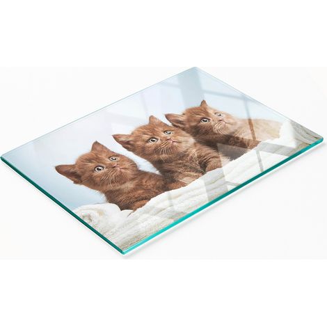 Tabla de cocina de vidrio templado con dibujos y toalla para gatitos 80x52 cm (1/5)