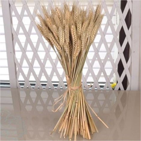 YMYNY Künstliche Weizenähren, Dekoration, natürliche Farbe, 92 cm Höhe, 80 Stück