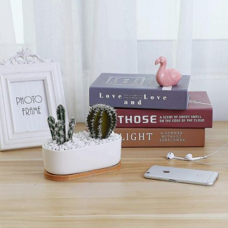 Pot de fleurs ovale moderne en céramique blanche de 16,5 cm (6,5 pouces) pour plantes succulentes/cactus, avec soucoupe en bambou. (1/5)