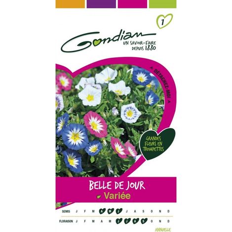 Gondian - Belle de jour variée