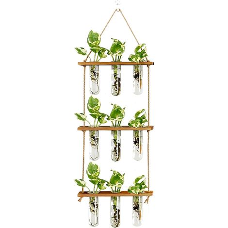 Terrarium mural propagation plantes avec support bois et 9 tubes verre, vase hydroponique décoratif, jardin intérieur maison bureau original (1/5)