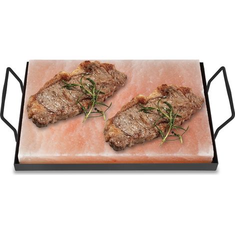 TolleTour Himalaya Salzstein mit Halter 30x20x3 cm Grillstein für BBQ Gasgrill Steak Fisch Servierplatte Natur