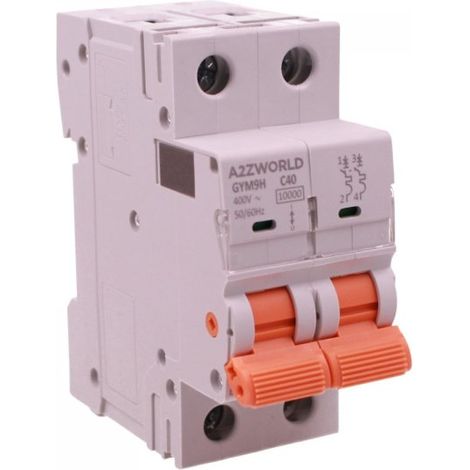 MCB Interruttore Magnetotermico Automatico Curva C 2P 2M 10000A AC 400V IP20 GYM9H, Accoppiabile Con Bobina di Sgancio GA01231 GA01232, Disponibili 25A 32A 40A 63A (C40A)