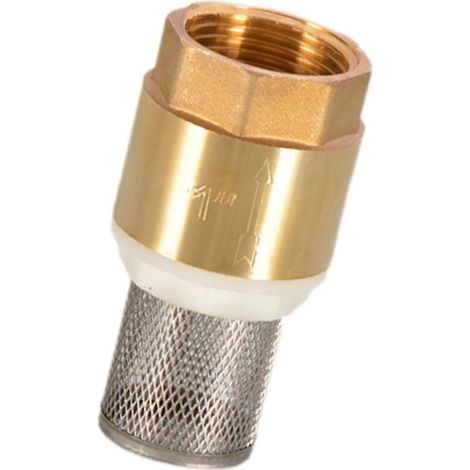 Kupfer-Rückschlagventil für Pumpen, Fußventil mit Innengewinde, robustes Siebventil mit guter Abdichtung, Rückflussverhinderer für Haus und Garten-DN25 with Mesh (1/5)