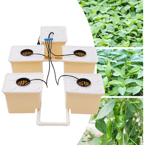 Kit sistema di coltivazione idroponica da 11 litri per sistema di coltivazione idroponica indoor domestico