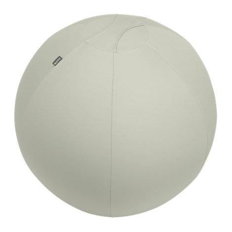 Leitz Ergo Active Palla da Seduta Grigia Chiara 75 cm (1/4)