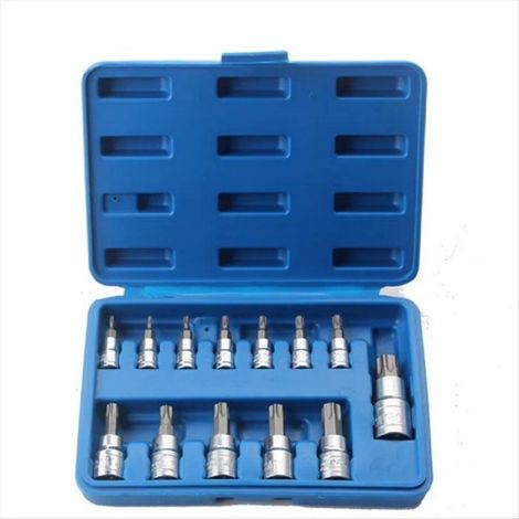 Embouts Torx - Ensemble de 13 Pièces T8 à T70 - Compatible Clés Dynamométriques 1/4 3/8 1/2 Pouces - Pour Réparation Vélo Auto Électroménager (1/5)