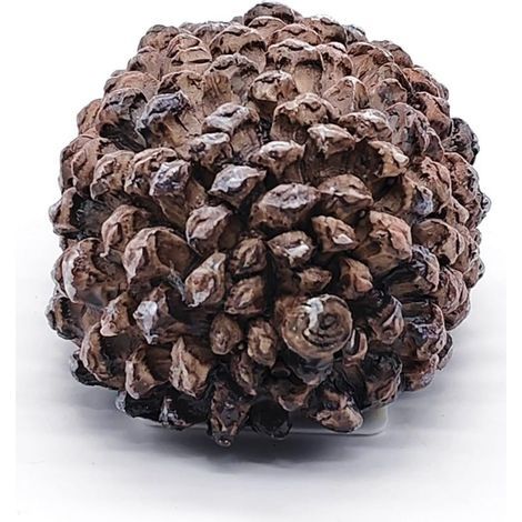 Boîte à Clés en Forme de Pommes de Pin Pour l'Extérieur - Cache-Clé Secret Aspect Pierre Véritable Pour Rangement d'Extérieur (1/5)