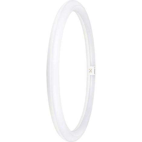 OSRAM HOMELIGHTING Tubes LED CEE: E (A - G) G10q forme d'anneau 24 W = 40 W blanc froid (Ø x L) 400 mm x 400 mm 1 pc(s) C888772 (1/10)