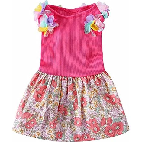 Robe florale rose pour chien - Jupe mignonne pour petit chien - Jupe d'été printanier pour chiot et chat (1/5)