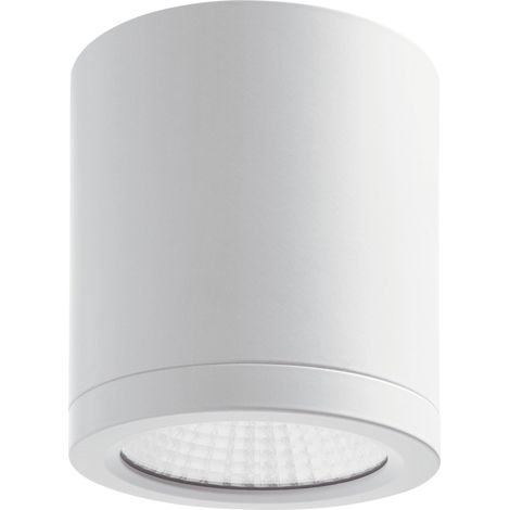 Montage en surface BUIS IP54 LED COB 24W 2320lm CRI80 3000K 50º Blanc (1/4)