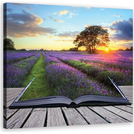 Tableau sur toile Champ de lavande Nature 40x40 (1/5)