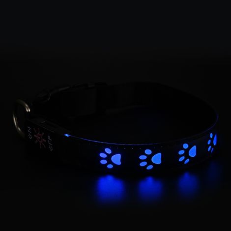 Filiyano-Collier lumineux rechargeable pour chien, collier coloré en forme de patte pour promener les petits chiens et les chiens (bleu) (1/4)