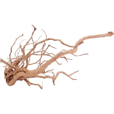 XXL Moorkienwurzel Nr.4309 Holz Deko Aquascaping