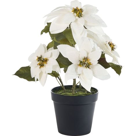 Plante Artificielle en Pot en Tissu 61 cm Branches Réglables Fleurs de Noël Blanche Christmas Flower (1/5)