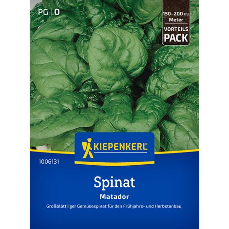 Kiepenkerl Saatgut Spinat Matador Vorteilspackung für ca. 2 – 3 m²