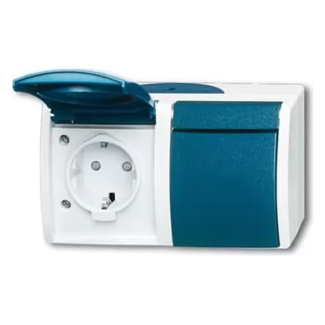 Busch-Jaeger 20/2 EBW-53 SCHUKO® Steckdose mit erh. Berührungsschutz (1/2)