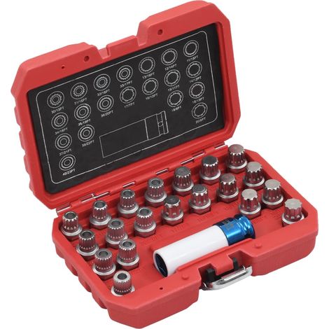 Kit de 21 outils pour le démontage des écrous antivol de roue BMW