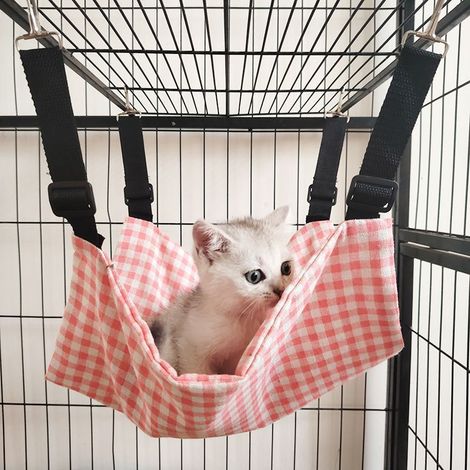 Katzenhängematte - Hängekäfig für Katzen - Katzenmatte - Katzenbett - Katzenschlafsack - Katzenkorb - Katzendecke - Hängeschaukelbett - [58x46cm] (1/2)