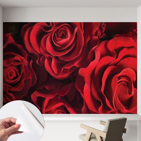 Carta da parati autoadesiva moderna - fotomurale - lavabile - ufficio - design moderno - Rose rosse 152x104 cm (1/5)