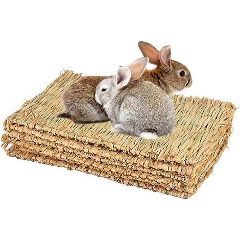 Tapis en herbe naturelle tissé à la main, servant de jouet à mâcher pour petits animaux comme un hamster, un cochon, un lapin ou un perroquet. (1/3)
