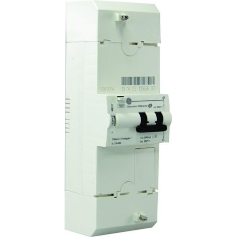 General Electric 585017 Interruptor de conexión EDF tipo 2P 15-30-45A S 500mA
