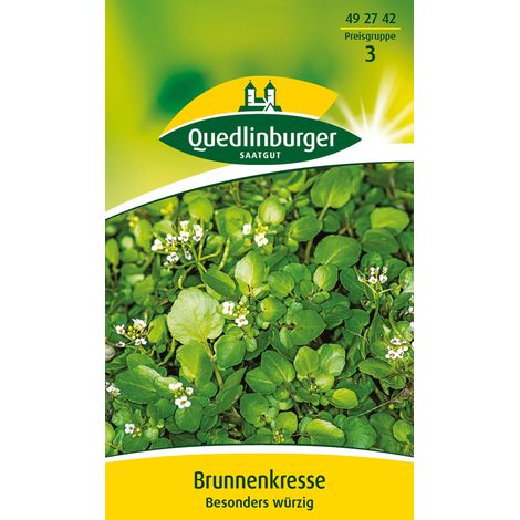 Quedlinburger Saatgut – Cresson de fontaine – Graines d'herbes aromatiques, vivace, goût relevé de radis, hauteur 6-8 cm (1/2)