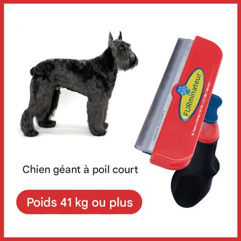 Furminator Étrille Géante pour Chien Poil Court – Brosse Professionnelle Poils Morts et Sous-Poil (1/5)
