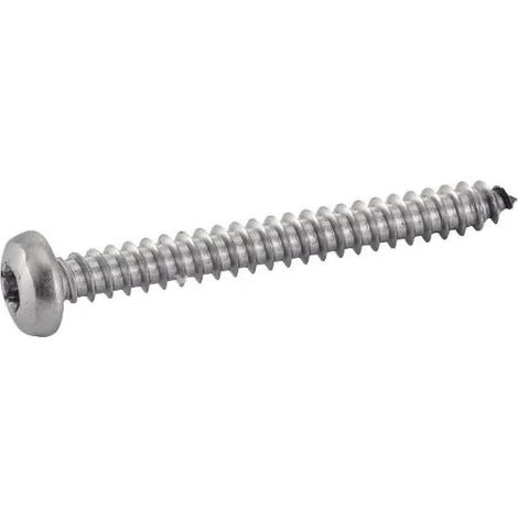 Vite Acton 624074 acciaio inox 4.8x9.5mm 200 pezzi