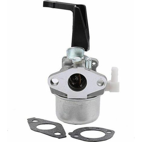 Carburateur BriggsStratton 696065 697422 pour trononneuse 110402-0206-E1 (1/5)