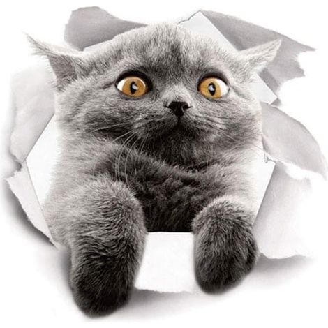Dekorativer Toilettensitzaufkleber – Niedliches Katzenmotiv