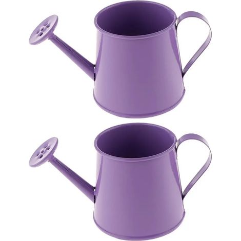 Lot de 2 arrosoirs de jardin en mtal avec vaporisateur (1/5)