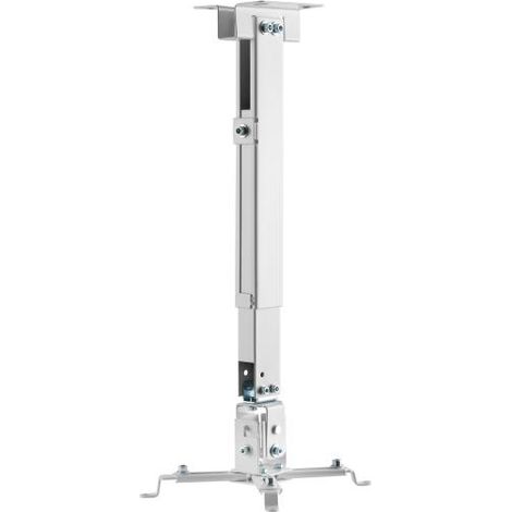 Supporto da Soffitto per Proiettore Aisens CWP01TSE-049 Bianco (1/4)