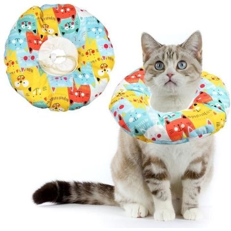 Collare protettivo per cani e gatti - Collare di recupero per gatti