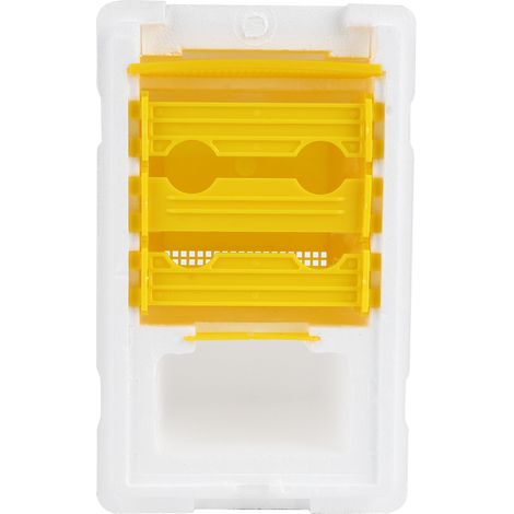 Boîte de fécondation en mousse pour reines abeilles, accessoire d'élevage et de reproduction, matériel apicole (1/5)