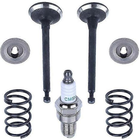Ensemble soupape d'admission/d'échappement compatible Honda GX35 UMK435 4 temps, ressort de retenue (1/4)