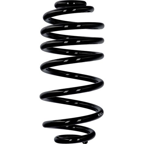 Molla di rinforzo Eibach ERL per Chevrolet/Opel posteriore R10513 (1/2)