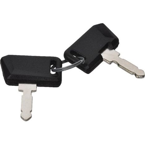 Juego llave (2) MASSEY FERGUSON 3540163M91