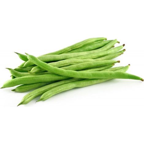 Semi di fagiolo "Nano cannellino" piante per orto e giardino coltivazione domestica e professionale (1/2)