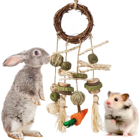 1 Ensemble Jouet, Matériaux naturels, Foin Timothy, Crochets en bois, Cage petits animaux (1/5)