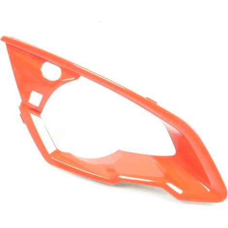 Optische Umgebung AVD für Scooter Peugeot 50 Speedfight 4 (1/5)