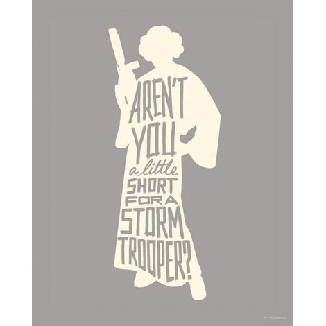 Poster d'Art Star Wars Silhouette Princesse Leia et Citations - 40 x 50 cm (1/3)