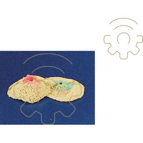 2 A crans de remplacement pour lampes A cartouche de gaz (1/2)