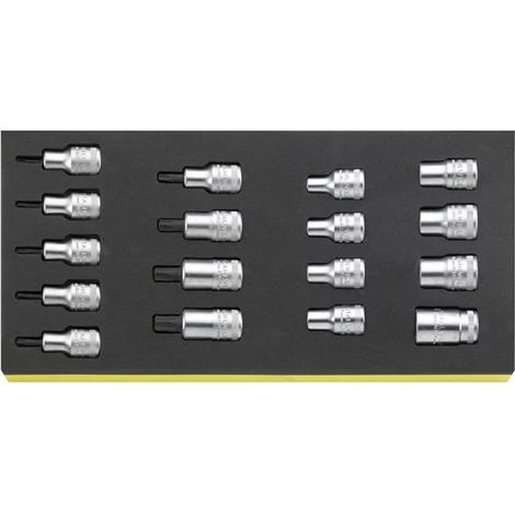 Stahlwille Satz Steckschlüsseleinsätze i.TCS TCS 50TX/54TX/17 TORX 17 tlg.
