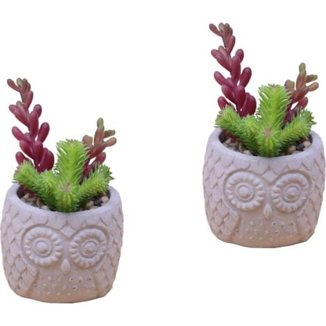 2 Stück simulierte Sukkulenten-Bonsai-Kunstpflanzen, Innendekoration, Wohnzimmer, Heimdekoration, Mini-Kunstpflanzen, Desktop-Ornament, fleischiges Kunsthandwerk