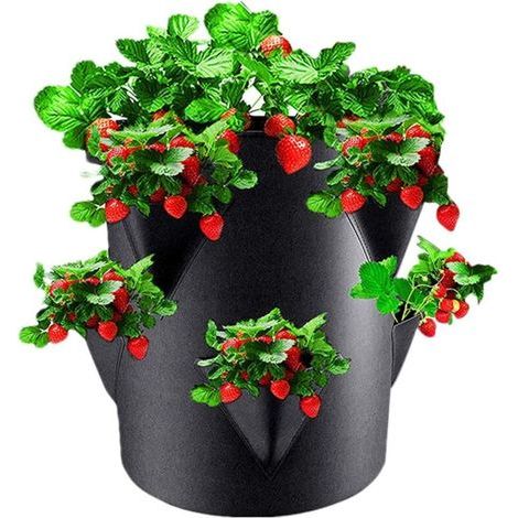 CSPARKV Upgrade Strawberry Grow Bags, Felt Strawberry Pot with 6 Side Grow Pocket, 7 Gallon Planting Pots, Non-Woven Fabric Breathable Portable for Strawberries Grow, Garden, Herbs, Flowers (1/5)