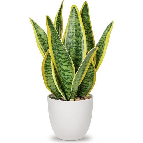 31cm Sansevieria - Plante Artificielle en Pot en céramique - Petite Plante d'intérieur - Plante de Serpent Artificielle - Plantes artificielles comme réelles - Parfait pour la Salle de Bain (1/5)