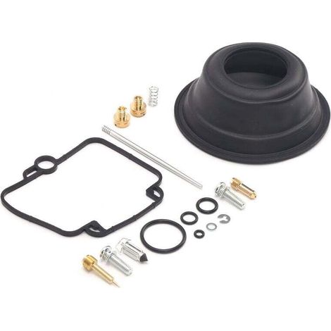 Kit de reconstruction de carburateur réparation de révision de carburateur pour moteur monocylindre Suzuki DR350 Goose350 Mikuni BST40